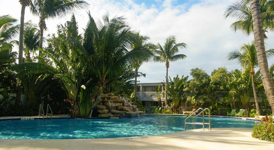 pool surrounded by palm trees near hotel 181624 16151